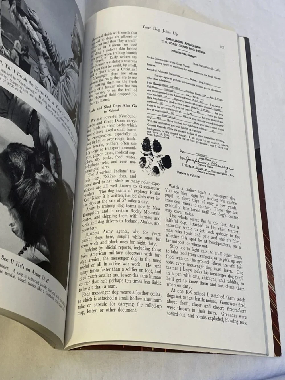 1943 JAN National Geographic Magazine Vol 83 No 1 WWII Dogs Glass Gilbert Island